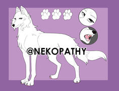 ref sheet example