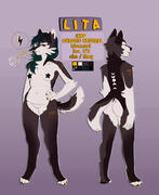ref sheet example